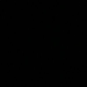 Meet your Posher, Lizzie